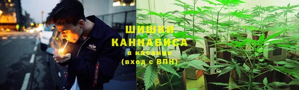 прущие крисы Новокубанск